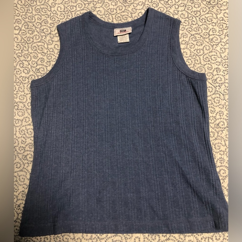 Faded Glory Baby Blue Sweater Vest, Size Large